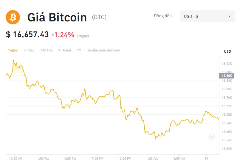 Giá Bitcoin hôm nay 19/11: Bitcoin quay đầu giảm, 72/100 đồng tiền hàng đầu giảm giá trong 24h - Ảnh 1.