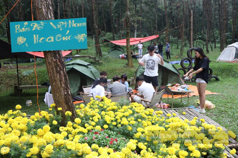 Người dân đổ về Thiên Sơn Suối Ngà cắm trại, ngắm trưng bày hoa cúc &quot;Mùa tri ân&quot; - Ảnh 2.