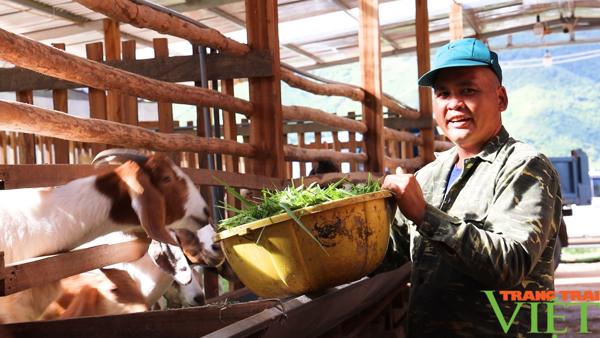 Nông dân thu nhập cao từ chăn nuôi khoa học - Ảnh 5.