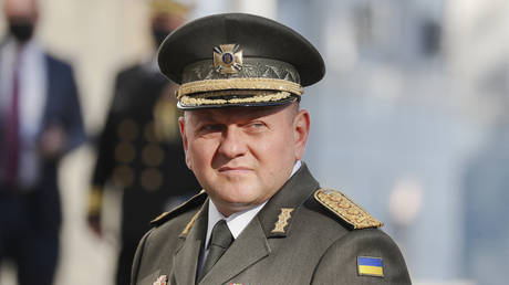 Uẩn khúc trong quan hệ của tướng hàng đầu Ukraine và ông Zelensky - Ảnh 1.