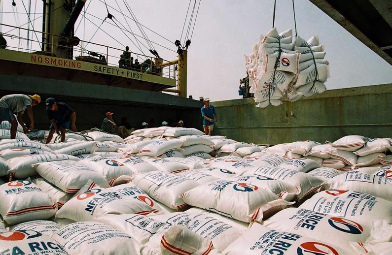 Giá lúa gạo tiếp tục neo cao, 201 đơn vị đủ điều kiện kinh doanh xuất khẩu gạo - Ảnh 1.