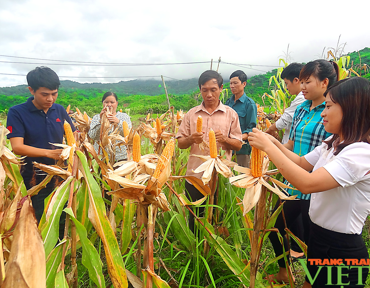 &quot;Vượt khó&quot; phát triển kinh tế - xã hội ở huyện biên giới Nậm Nhùn - Ảnh 3.