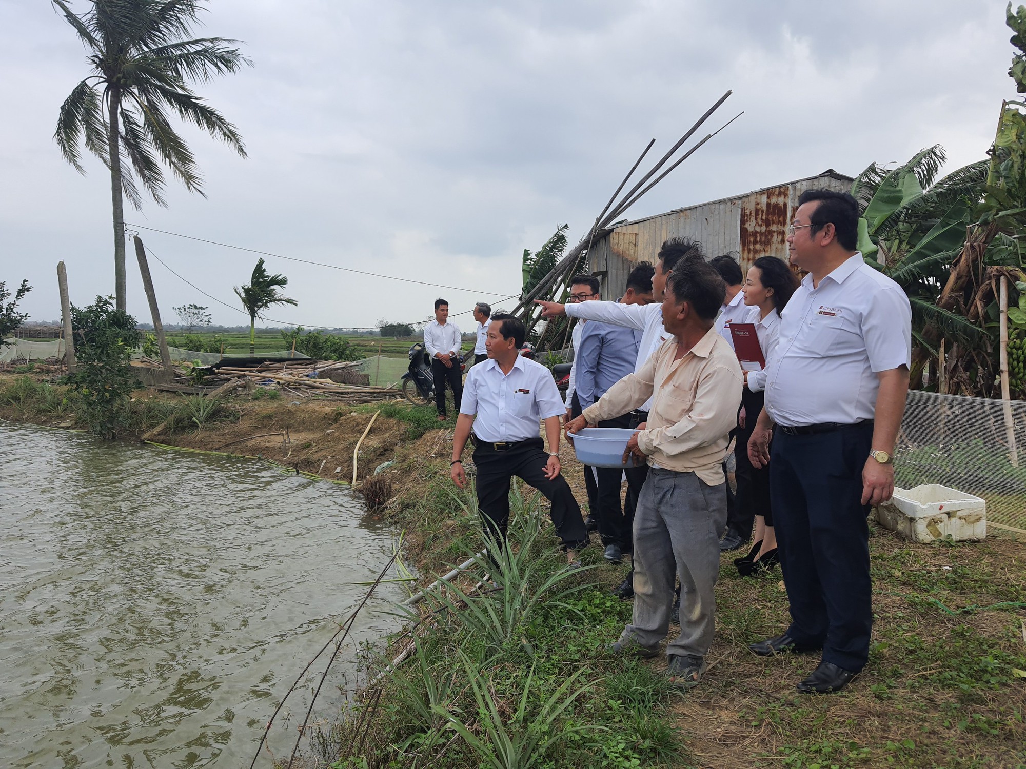 Thừa Thiên - Huế: Agribank miền Trung tiếp sức cho nông dân vùng “rốn lũ” Quảng Điền khôi phục sản xuất - Ảnh 3.