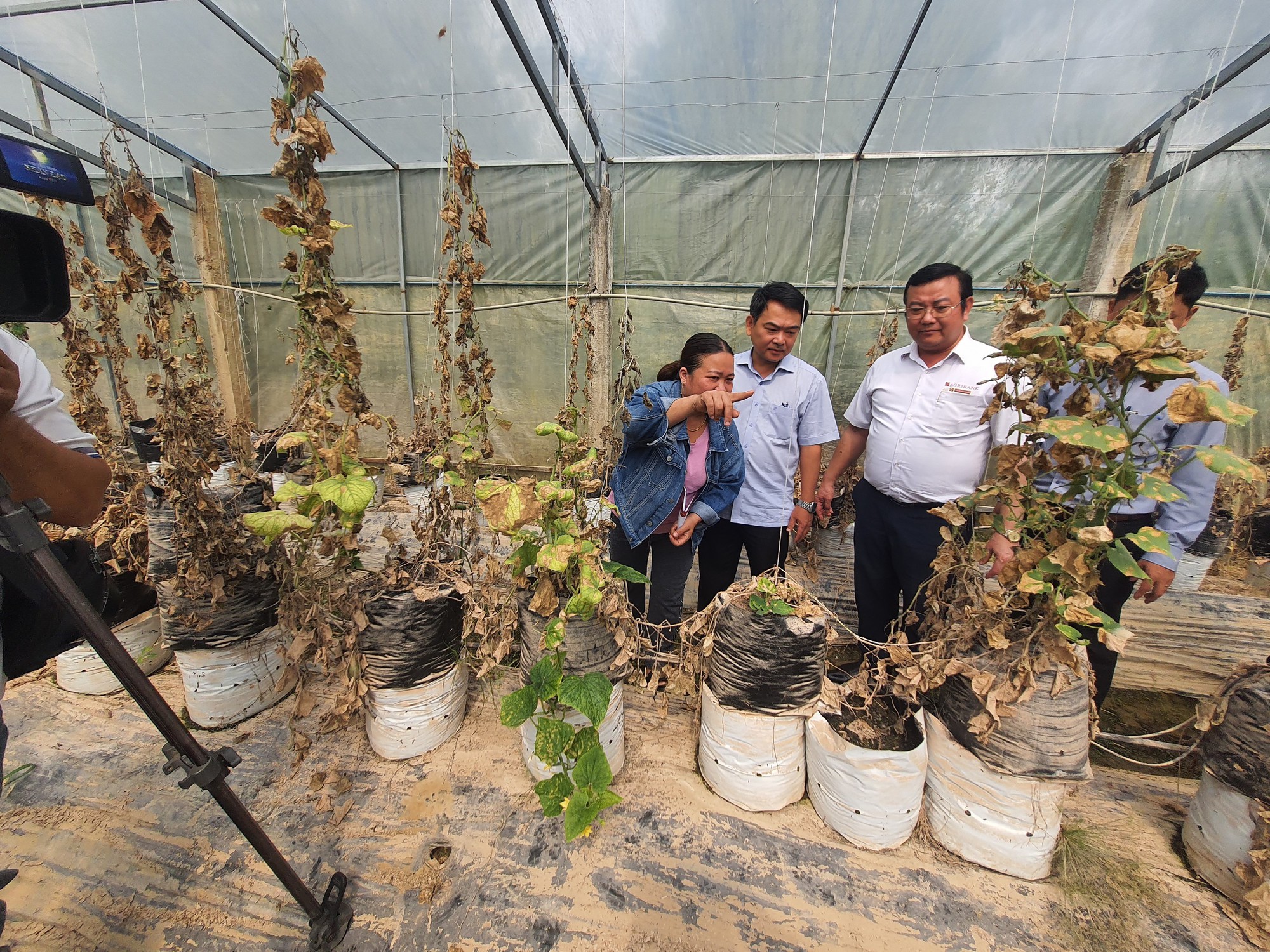 Thừa Thiên - Huế: Agribank miền Trung tiếp sức cho nông dân vùng “rốn lũ” Quảng Điền khôi phục sản xuất - Ảnh 4.
