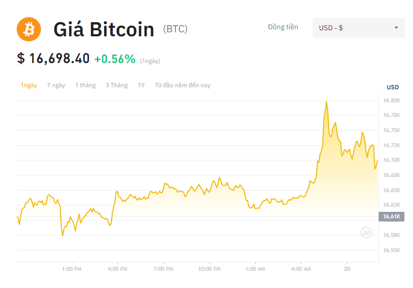 Giá Bitcoin hôm nay 19/11: Thị trường đi ngang cuối tuần, nhiều ông lớn tiền ảo tiến tới bờ vực sụp đổ vì FTX - Ảnh 1.