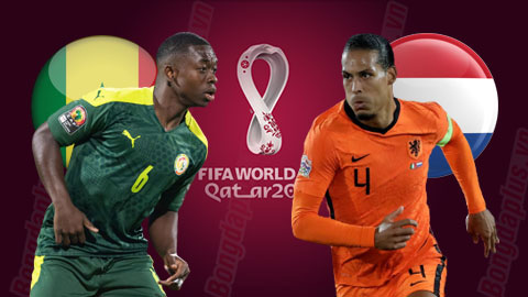 Nhận định, dự đoán kết quả Senegal vs Hà Lan (23h, ngày 21/11): &quot;Cơn lốc màu da cam&quot; thị uy! - Ảnh 3.