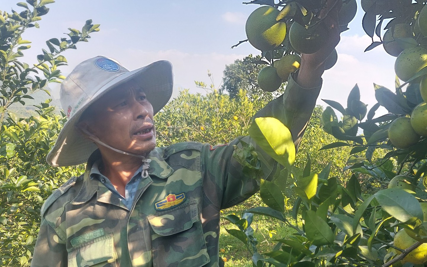 Nông sản OCOP: Trái cam, cá lồng Hòa Bình bán đắt như tôm tươi, nhưng &quot;đường đi không trải hoa hồng&quot;