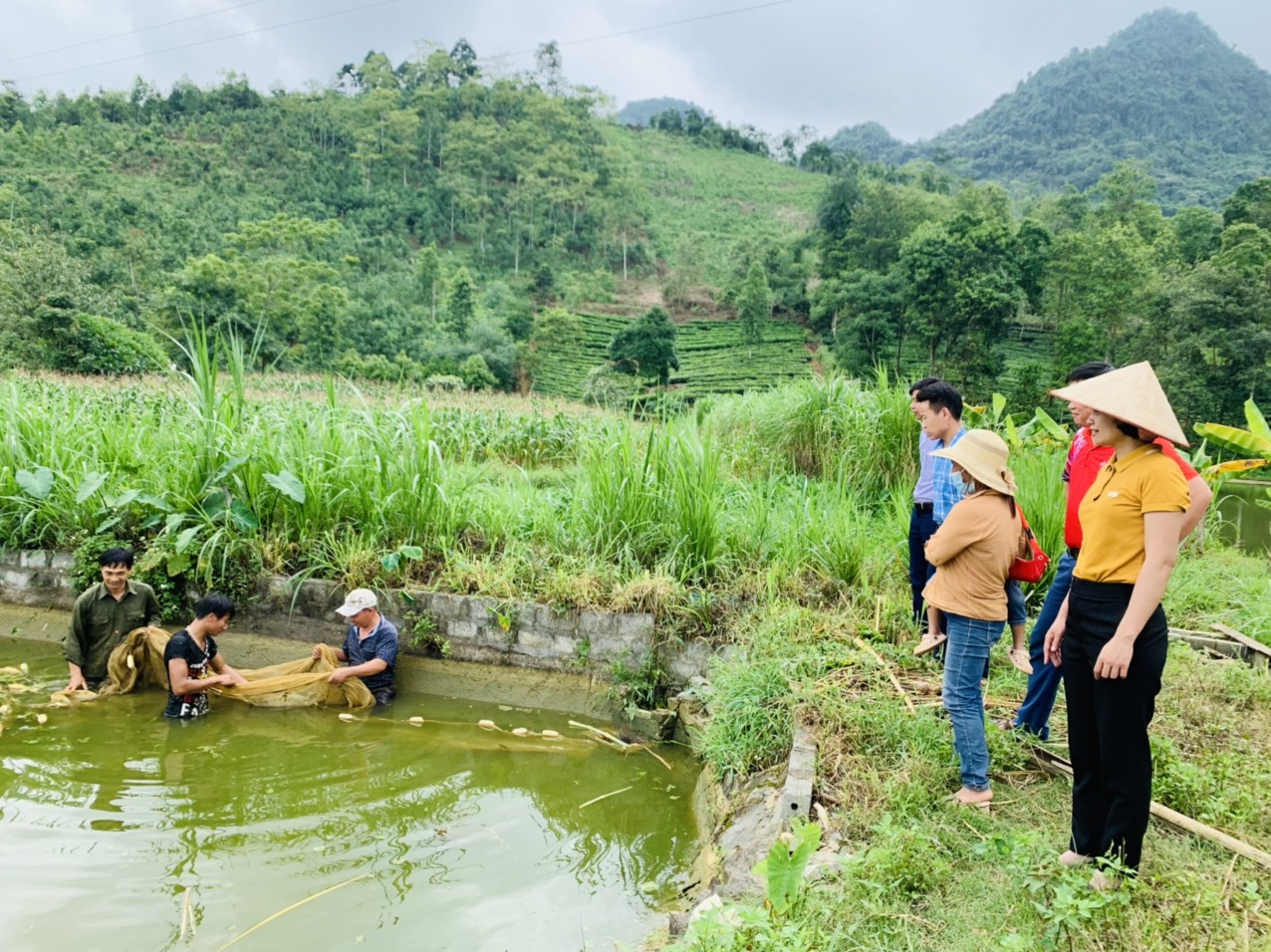 Nuôi cá tới ngày anh nông dân Lào Cai kéo lưới, bất ngờ thấy con cá lạ to dài có cái mỏm như hỏa tiễn - Ảnh 1.