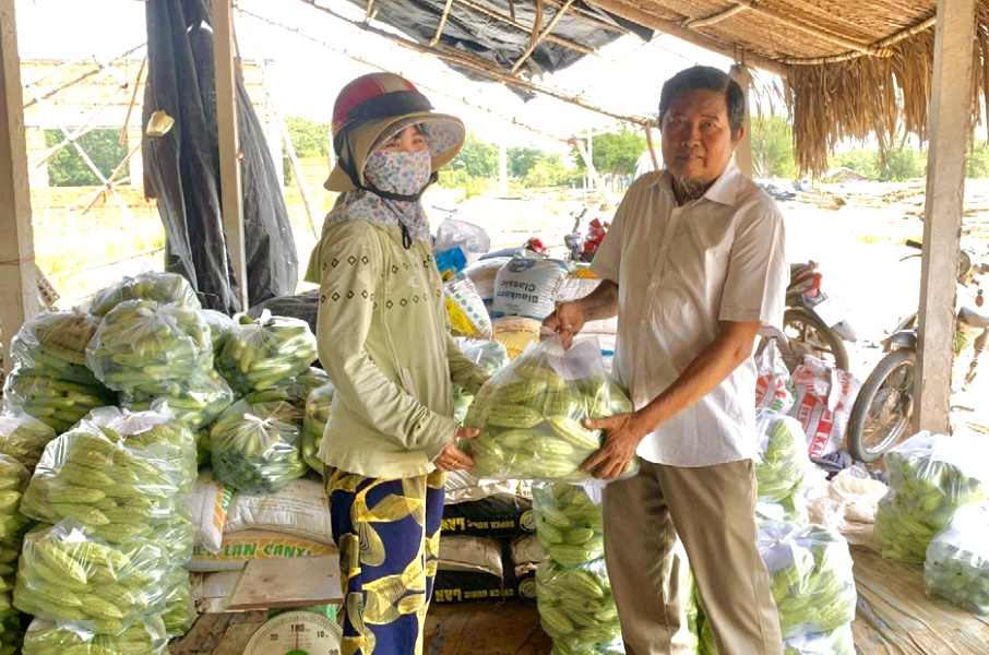 Lão nông làm giàu nhờ trồng rau và hoa màu, lan tỏa chương trình chuyển dịch nông nghiệp đô thị TP.HCM - Ảnh 3.