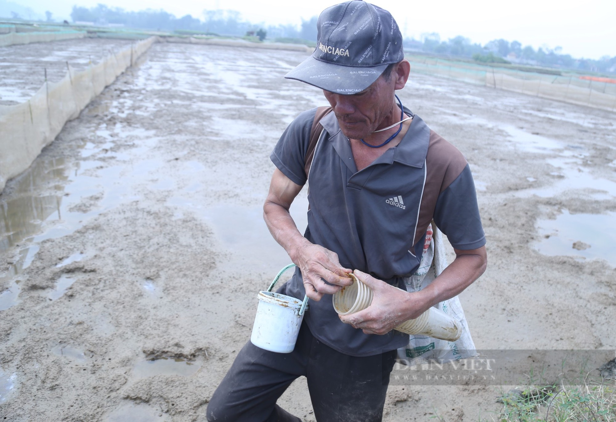 Dùng cốc nhựa bôi thêm thứ thính đặc biệt dân Nghệ An dễ dàng săn cáy, có ngày kiếm nửa triệu - Ảnh 1.