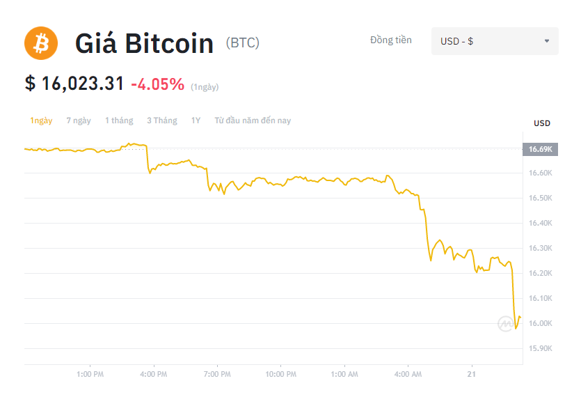 Giá Bitcoin hôm nay 20/11: - Ảnh 1.