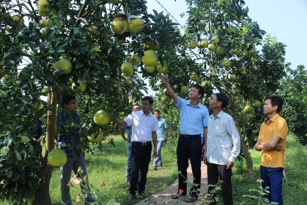 Khai mạc Tuần Văn hóa - Du lịch Lục Ngạn và khởi động Chương trình du lịch “Về miền quả ngọt Lục Ngạn” năm 2022 - Ảnh 1.