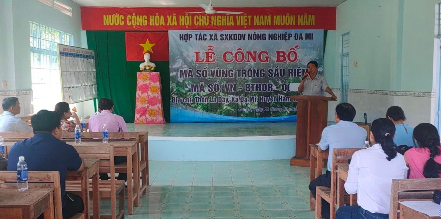 Bình Thuận: Nông dân háo hức khi sầu riêng Đa Mi được xuất khẩu sang thị trường Trung Quốc - Ảnh 1.