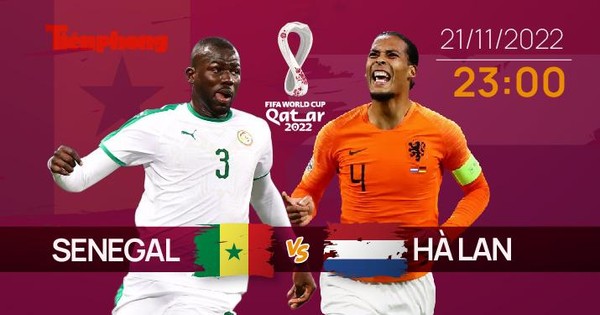 Senegal sẽ đá thế nào trước Hà Lan trong hiệp 1? - Ảnh 2.