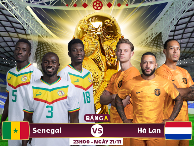 VTV Cần Thơ, VTV2 trực tiếp Hà Lan vs Senegal, bảng A World Cup 2022 - Ảnh 1.