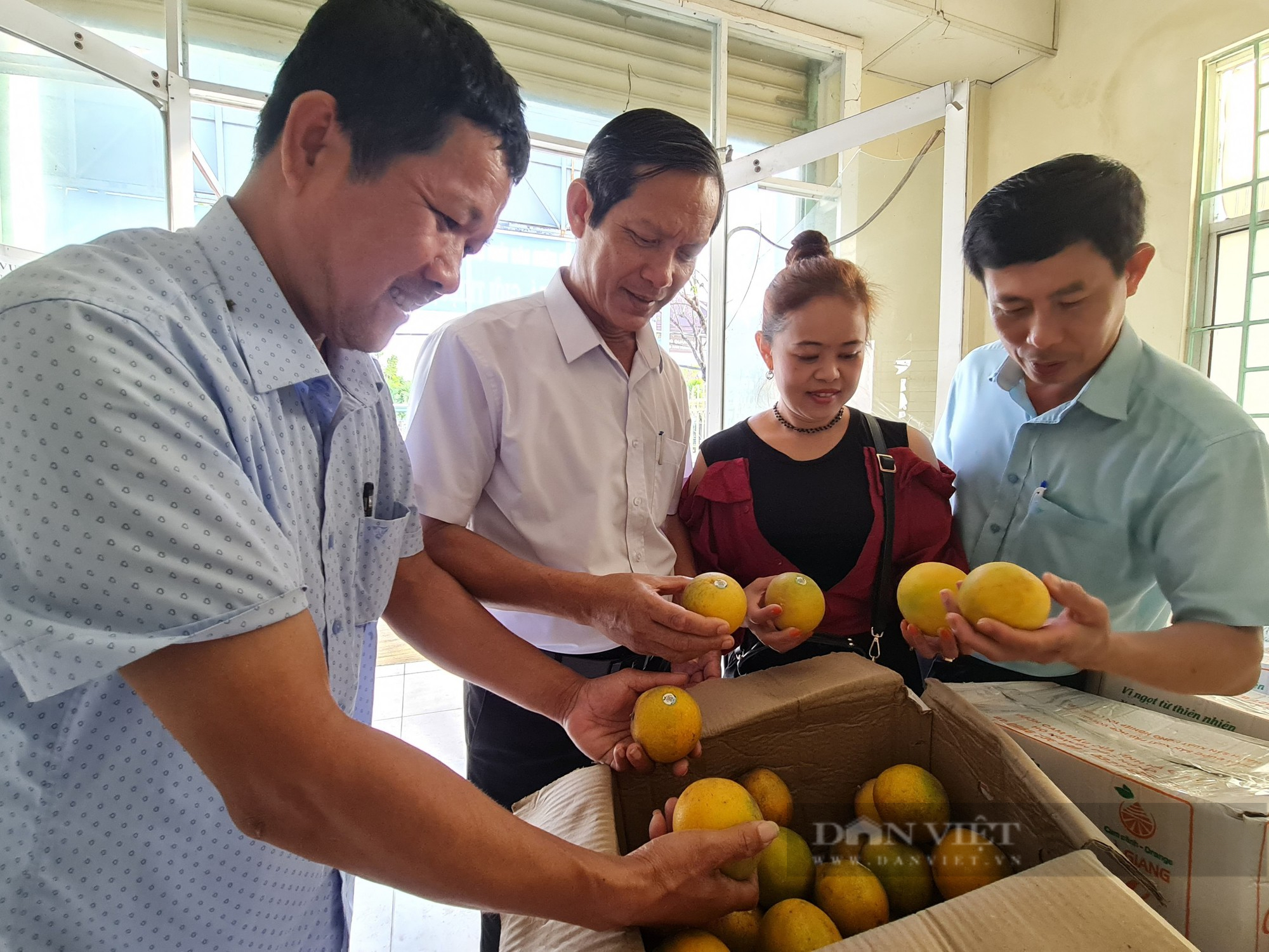 Hội Nông dân Quảng Nam hỗ trợ tiêu thụ hàng chục tấn cam vàng cho nông dân Hà Giang - Ảnh 3.