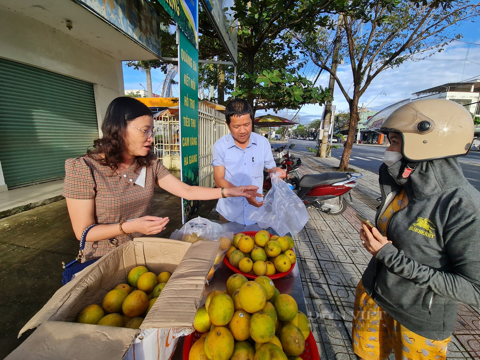 Hội Nông dân Quảng Nam hỗ trợ tiêu thụ hàng chục tấn cam vàng cho nông dân Hà Giang - Ảnh 5.