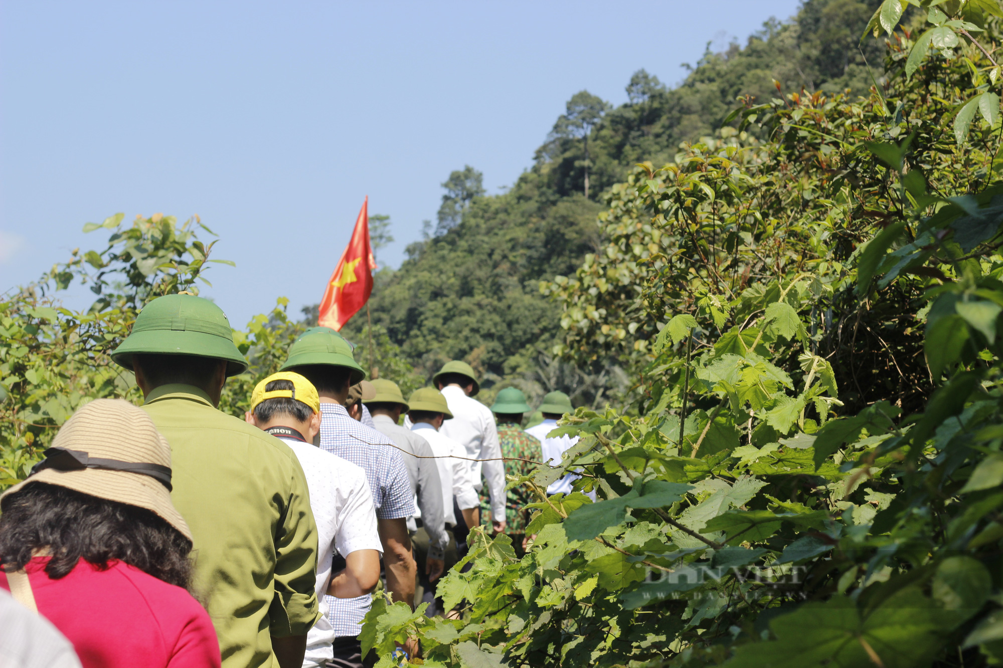 Dân miền núi Trường Sơn (Quảng Bình) &quot;đòi&quot; chính quyền trả tiền bảo vệ rừng  - Ảnh 1.