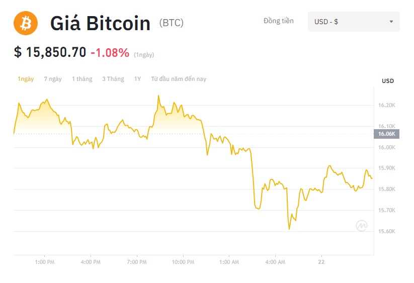 Giá Bitcoin hôm nay 22/11: Chính thức mất mốc 16.000, thị trường tiền ảo lao dốc - Ảnh 1.