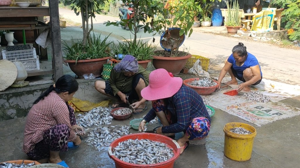 Mùa lũ ở vùng đất này của An Giang, ra ngõ là thấy cá linh, khắp làng thơm mùi nước mắm - Ảnh 4.