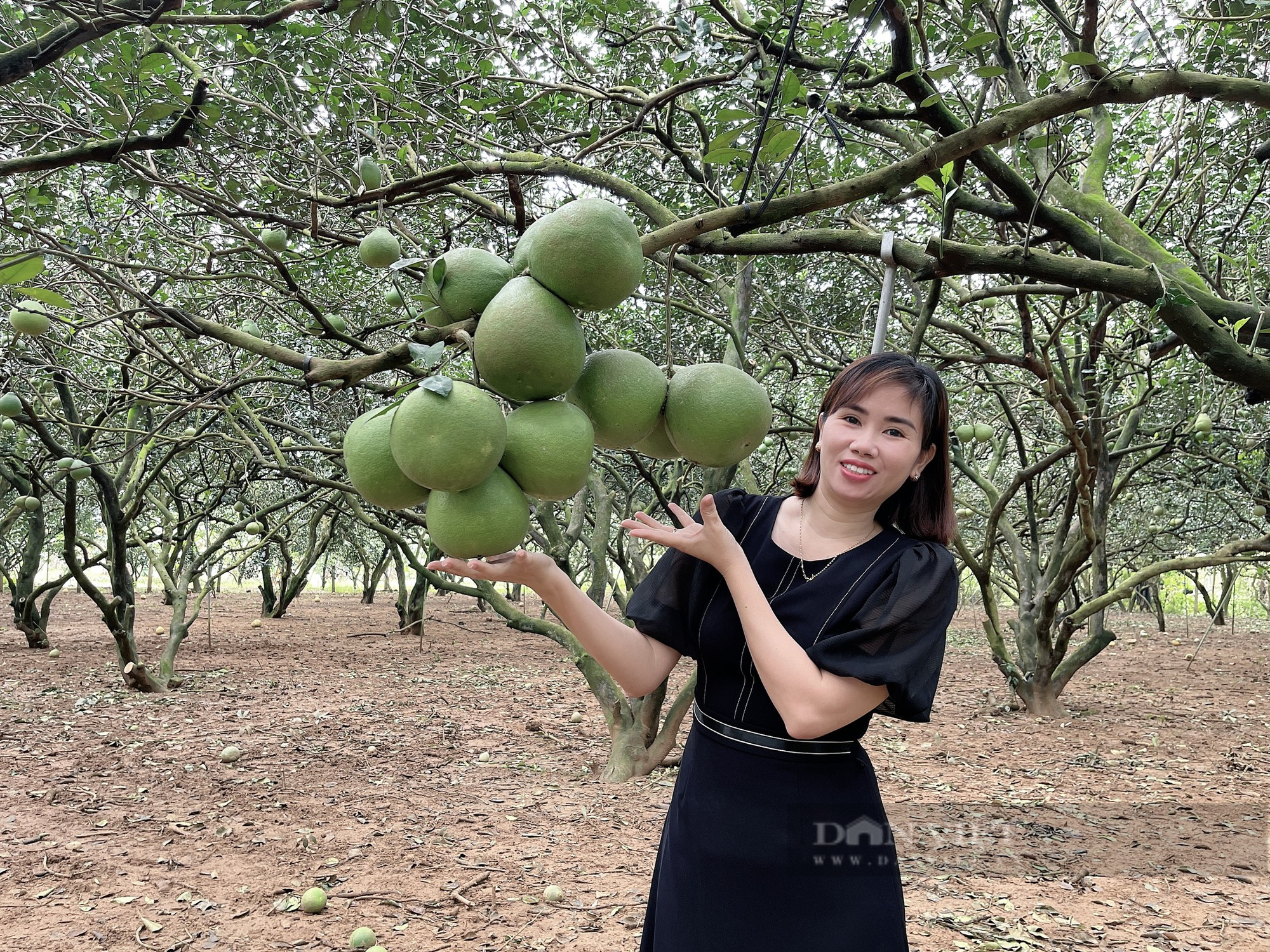 Thủ tướng Phạm Minh Chính sẽ chủ trì triển khai chương trình hành động về phát triển vùng Đông Nam bộ - Ảnh 3.