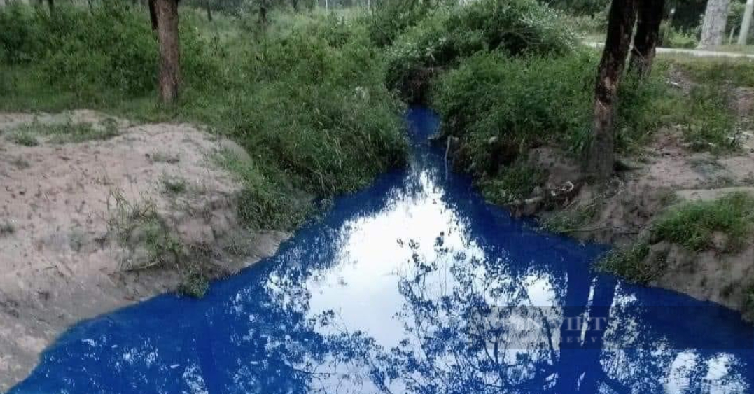 Đồng Nai: Phát hiện nước thải “xanh lè” ở cống thoát nước KCN Lộc An-Bình Sơn - Ảnh 2.