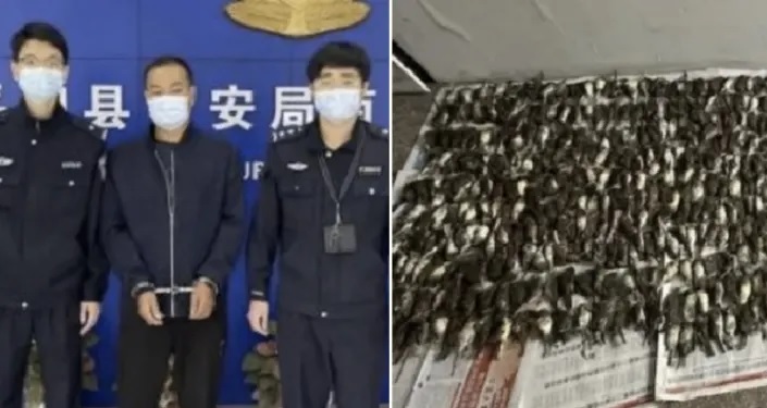Người đàn ông ở Trung Quốc bị bắt vì giết 1.000 con chim để 'làm lẩu' - Ảnh 1.