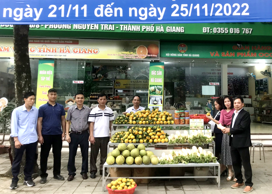 Hội Nông dân tỉnh Hà Giang tổ chức tuần lễ giới thiệu nông sản an toàn và sản phẩm OCOP - Ảnh 1.