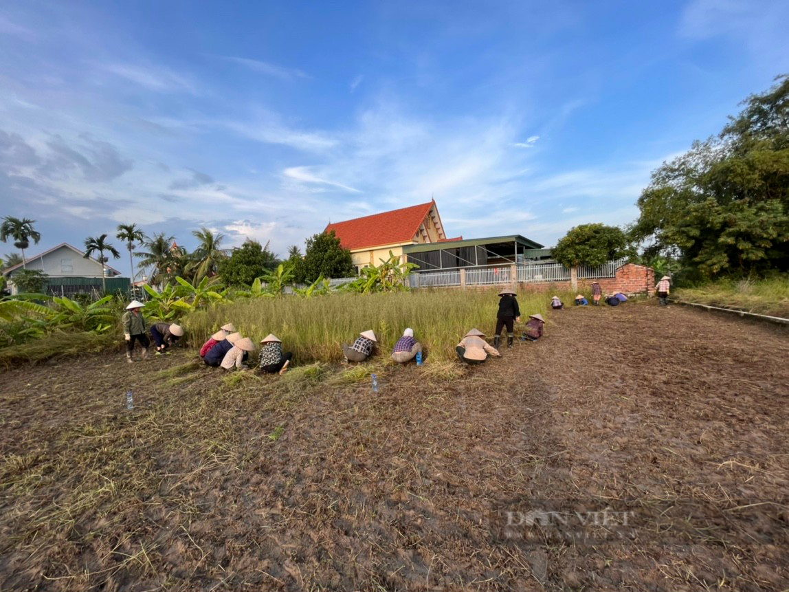 Dạy nghề cho lao động nông thôn ở Quảng Ninh, bà con phấn khởi vì chủ yếu thực hành, 70 tuổi cũng tham gia - Ảnh 3.