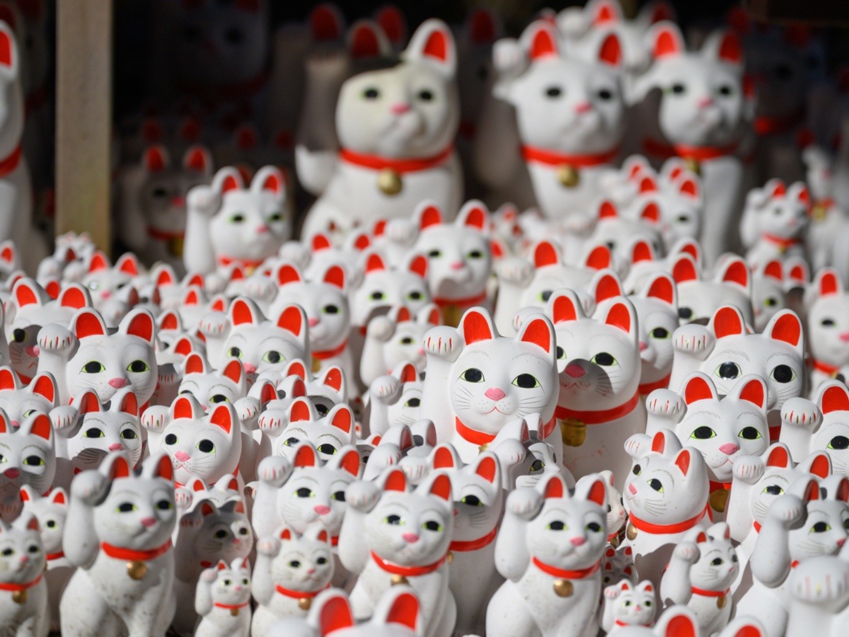 Ngôi đền có hàng nghìn tượng mèo vẫy tay ở Nhật Bản - Ảnh 1.