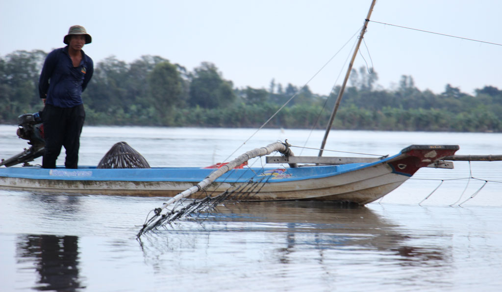 Mùa nước nổi Đồng Tháp Mười, về Long An xem dân bắt cá đồng, nhấc lên bờ rổ cá rô tươi roi rói - Ảnh 3.