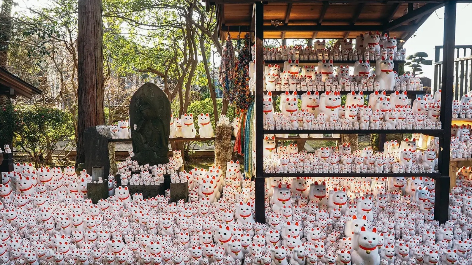 Ngôi đền có hàng nghìn tượng mèo vẫy tay ở Nhật Bản - Ảnh 3.