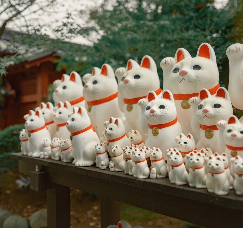 Ngôi đền có hàng nghìn tượng mèo vẫy tay ở Nhật Bản - Ảnh 4.