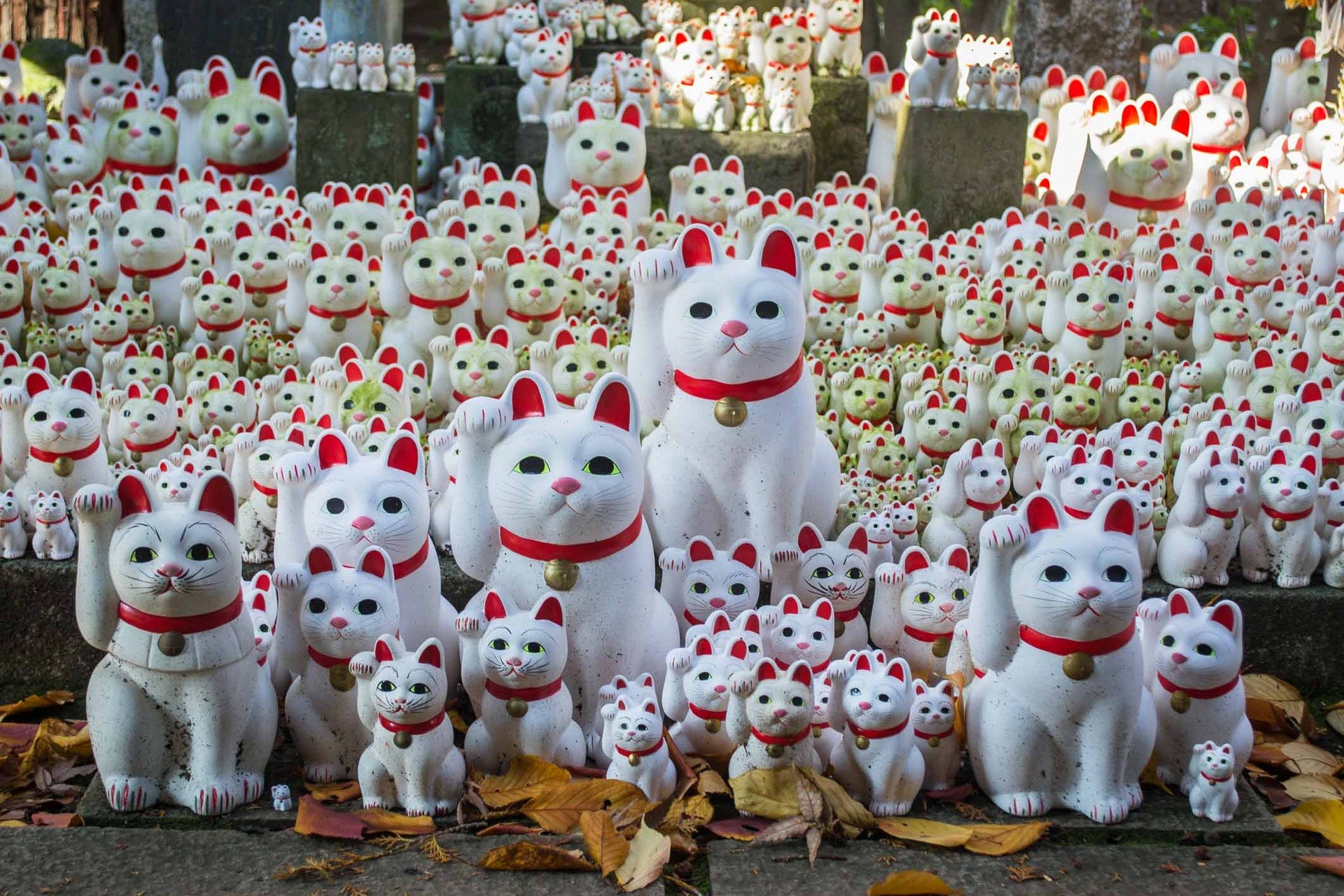 Ngôi đền có hàng nghìn tượng mèo vẫy tay ở Nhật Bản - Ảnh 5.