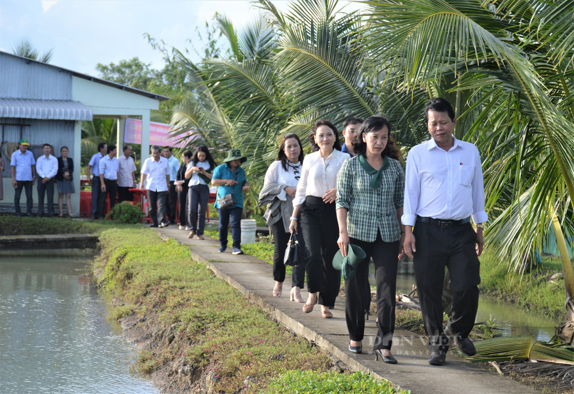 Hội Nông dân 11 tỉnh, thành cụm thi đua số 5 thăm mô hình nuôi cá chình của tỷ phú ở Cà Mau - Ảnh 3.