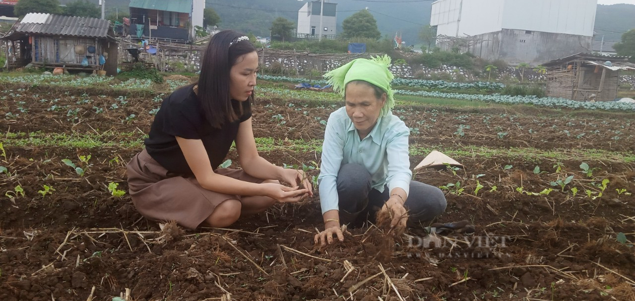 Nông dân Phù Yên (Sơn La) &quot;bám đất, bám rộng&quot; làm giàu - Ảnh 6.