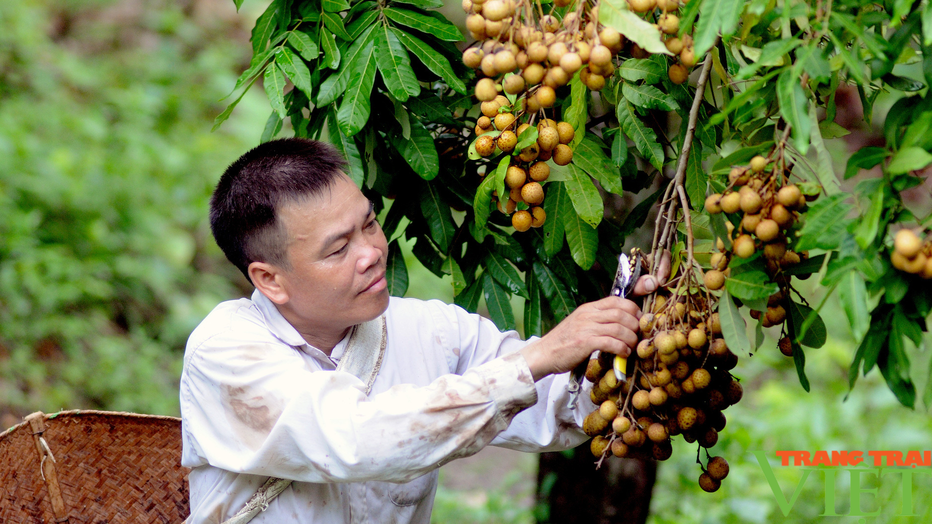 Bắc Yên: Chăm lo đời sống đồng bào dân tộc thiểu số - Ảnh 6.