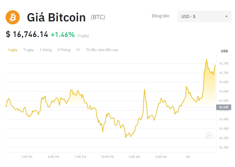 Giá Bitcoin hôm nay 24/11: Bitcoin gần lấy lại mốc 17.000, FTX muốn BitGo quản lý tài sản còn lại  - Ảnh 1.