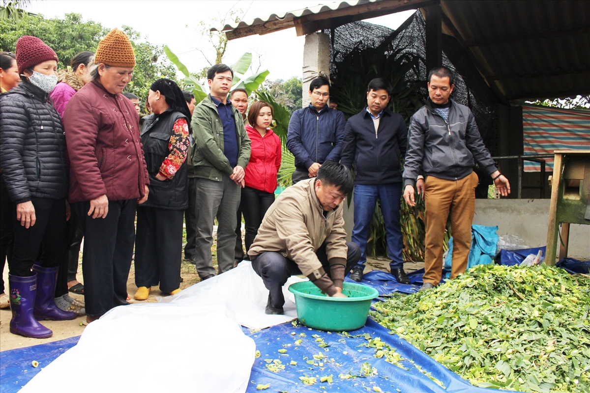 Chuyên gia lưu ý các giải pháp phòng chống đói rét cho trâu, bò trong mùa đông - Ảnh 3.