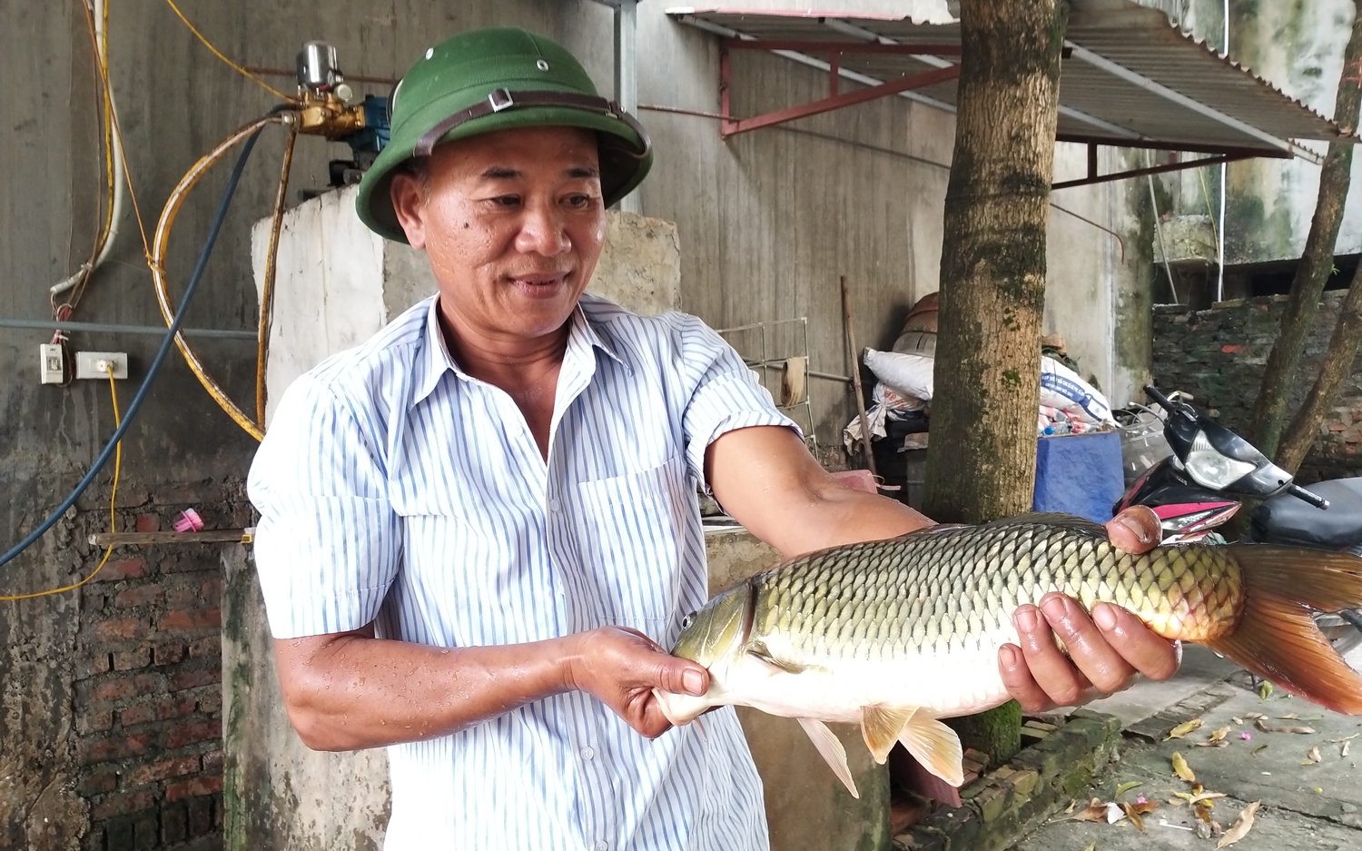 &quot;Quả ngọt” nông thôn mới ở Chương Mỹ: Nông thôn hiện đại, xuất hiện nhiều tỷ phú