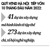 Hàng nghìn dự án hỗ trợ hội viên vay vốn  - Ảnh 2.