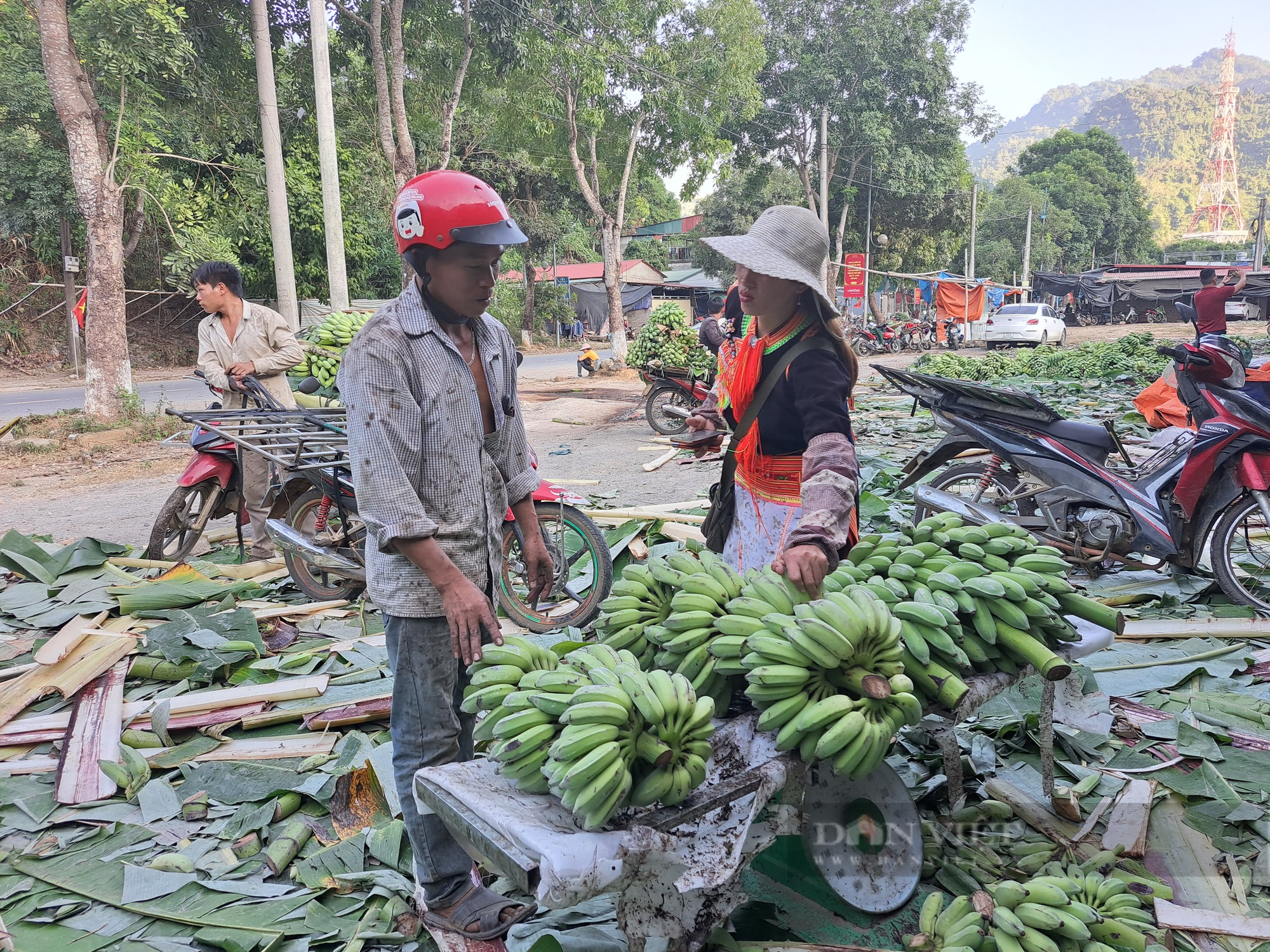 Tấp nập chợ chuối vùng cao Lai Châu - Ảnh 6.