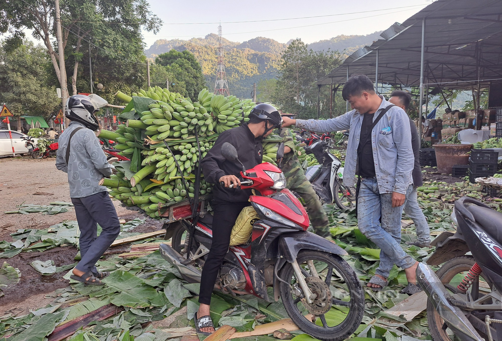 Tấp nập chợ chuối vùng cao Lai Châu - Ảnh 3.