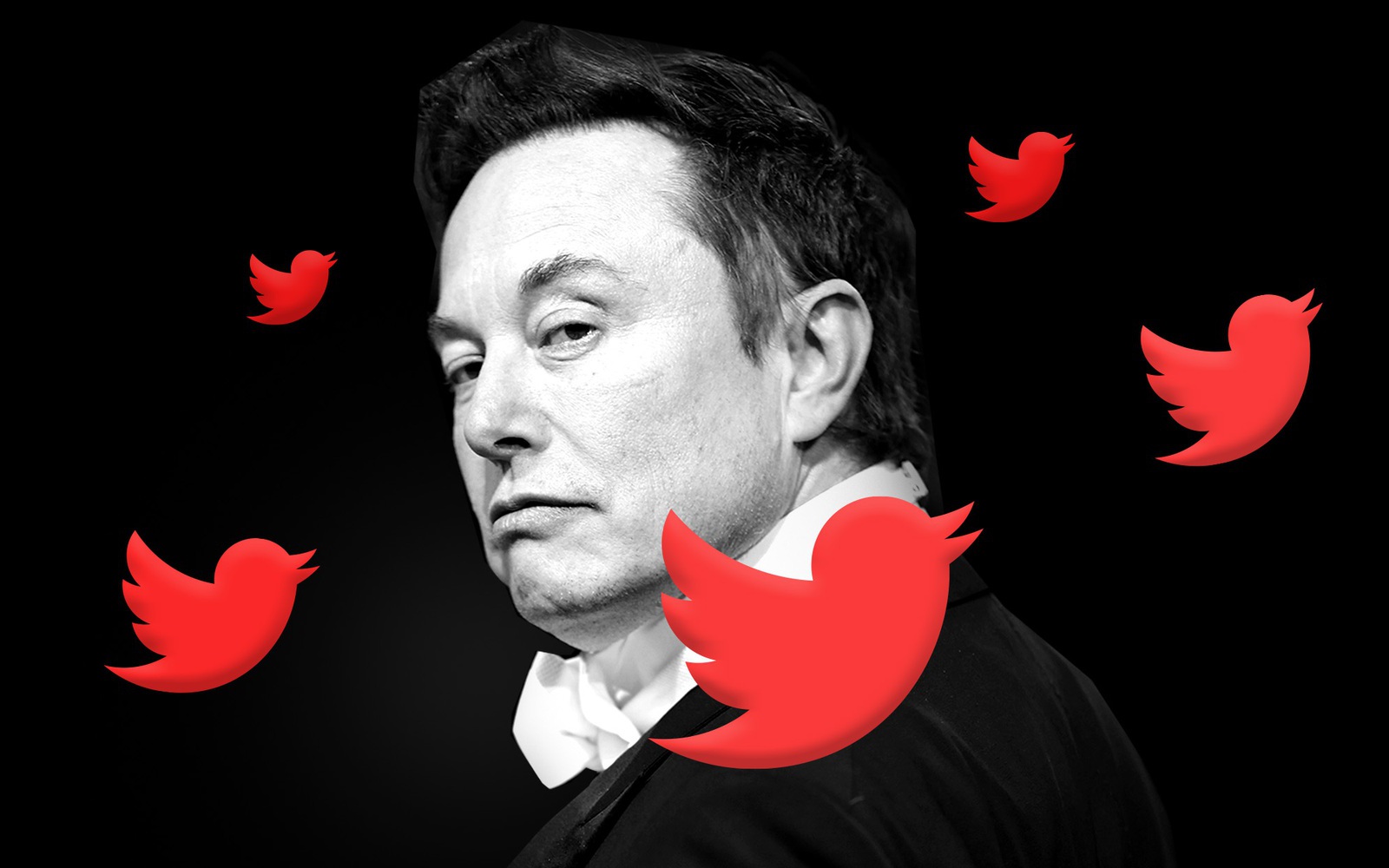 億万長者イーロン・マスクは、米国ではなく、Twitterの理想的な市場を明らかにします