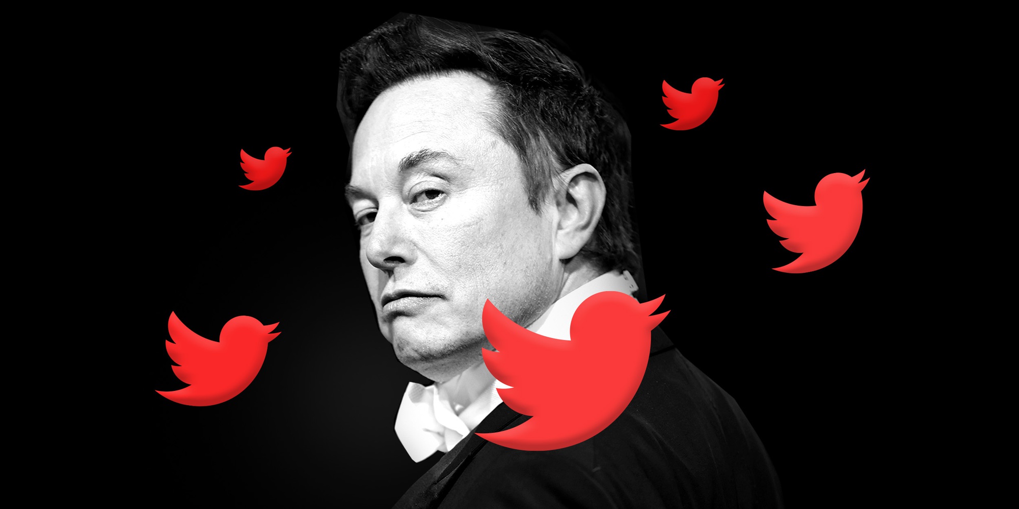 Musk dường như muốn Twitter tái tạo vị trí hàng đầu của mình tại Nhật Bản ở các thị trường khác, nhưng các chuyên gia cảnh báo rằng những thay đổi mà Musk đã thực hiện kể từ khi mua Twitter có thể gây rủi ro cho tình trạng của dịch vụ tại quốc gia này. Ảnh: @AFP.