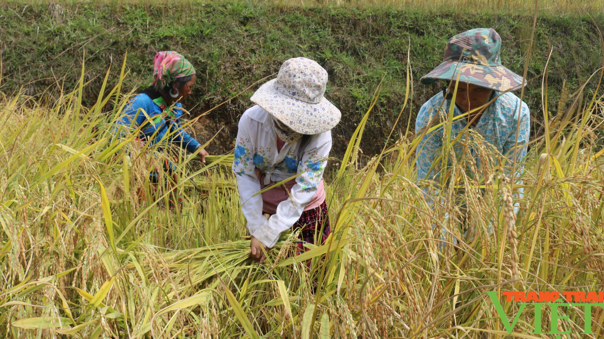 Bắc Yên: Phát triển du lịch bền vững - Ảnh 8.