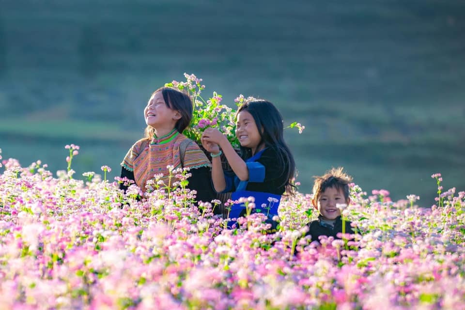 Mạo danh chủ khách sạn, nhà nghỉ, homestay bán phòng &quot;ảo&quot; lừa tiền khách du lịch - Ảnh 1.