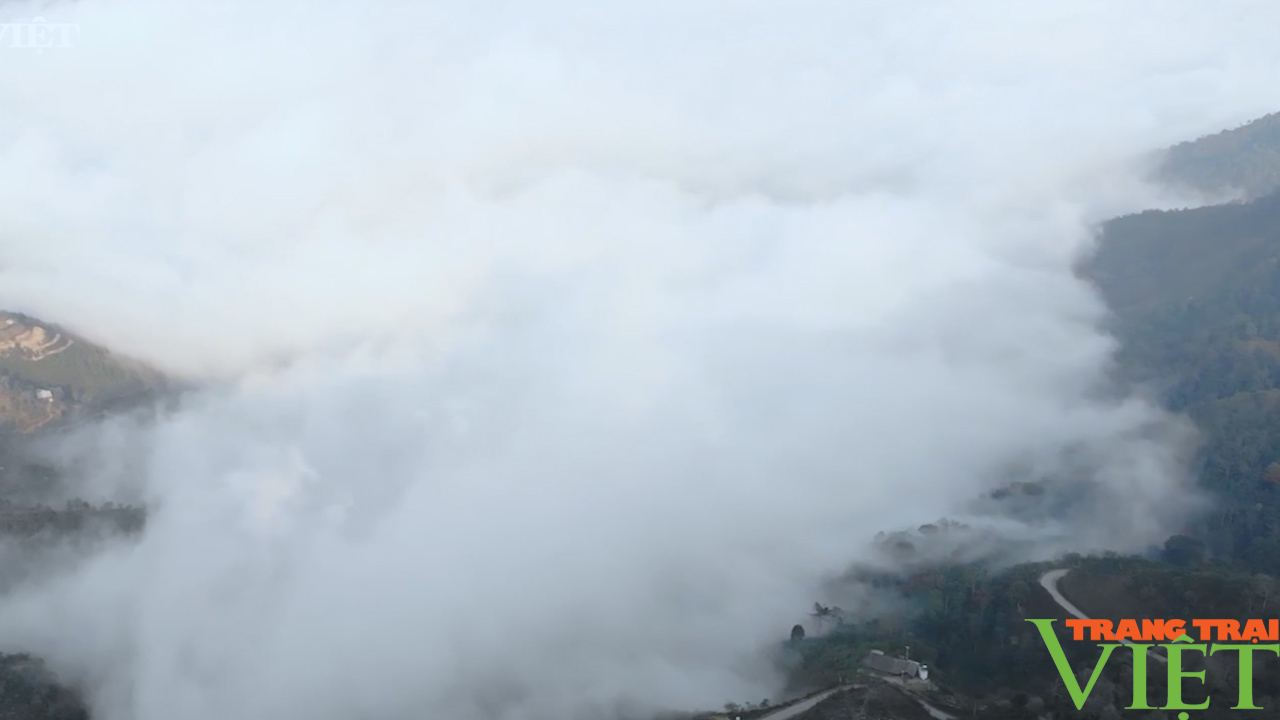  &quot;Thiên đường mây&quot; trên đỉnh Tà Xùa - Ảnh 9.