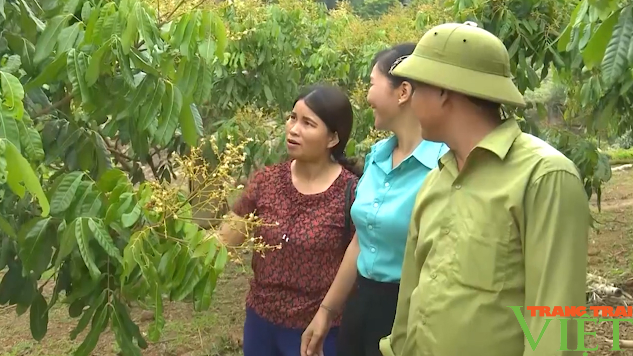 Bắc Yên: Phát triển bên vững vùng đồng bào dân tộc thiểu số - Ảnh 5.