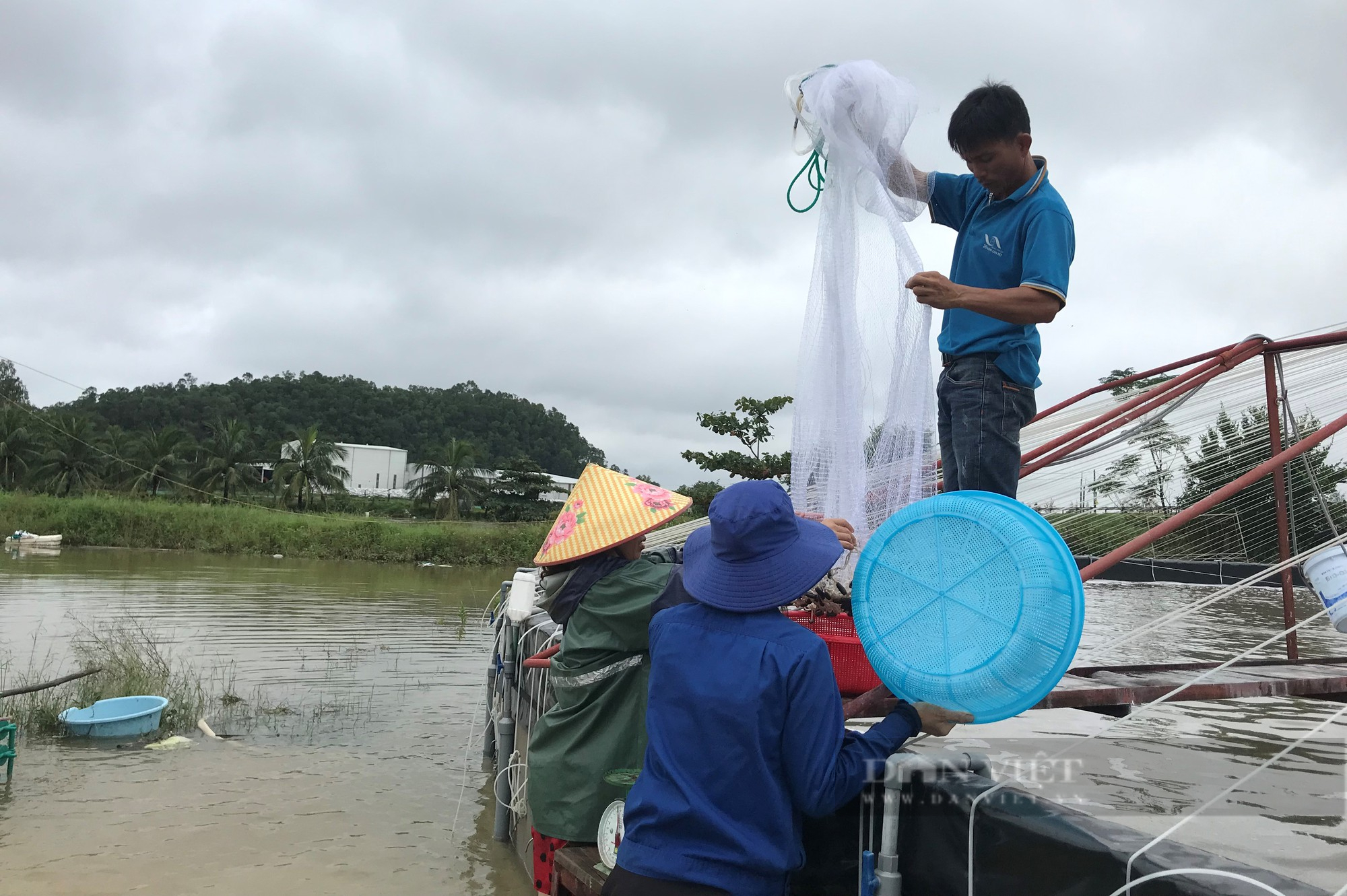 Mưa lớn nước dâng nhanh, nhiều hồ nuôi tôm ở Nghệ An ngập trắng, có nhà mất 500 triệu sau một đêm - Ảnh 7.